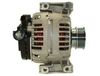 AG1560.JPG