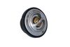 Termostat, chladivo 725216