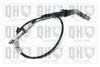 QH_QTC4184.JPG