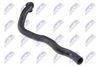 cpp-vw-056_2-wm.JPG