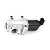AGR-Ventil EG10302-12B1