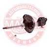 317148-PCS-MS.JPG