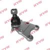 KYB-KBJ4076.JPG