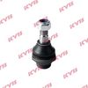 KYB-KBJ4052.JPG