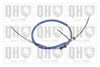 QH_BC3231.JPG