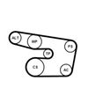 CONTINENTAL CTAM Water Pump + V-Ribbed Belt Kit 6PK1873WP4