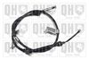 QH_BC3882.JPG