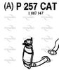 P257CAT.JPG