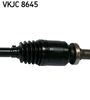 VKJC 8645_3.JPG