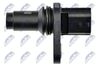ECP-NS-001_3-WM.JPG