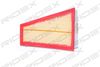8055279_183.JPG