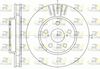 6541-10-MODEL.BMP