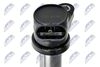 ECZ-DW-003_4-WM.JPG