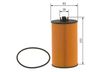 Bosch Oil Filter F 026 407 040 (F026407040)