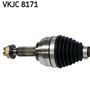 VKJC 8171_2.JPG