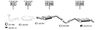 RE100290.BMP