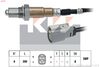 498 367-KW.JPG