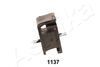 GOM-1137_1.JPG