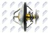 CTM-AU-015_3-WM.JPG