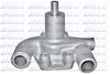 P351.BMP