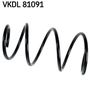 VKDL 81091.JPG