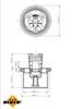 Termostat, chladivo 725020