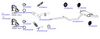 OP-EXSVG866_20260529081406.JPG