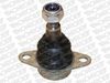 L11A39_2677542.JPG