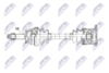npw-ns-221_9-wm.PNG