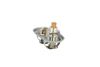 Termostat, chladivo 725393