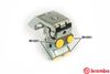 R61010.JPG
