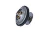 Termostat, chladivo 725215