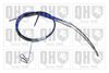 QH_BC4068.JPG