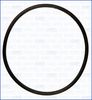 16509200.JPG