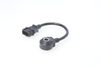 Bosch Knock Sensor 0261231075