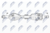 NPW-NS-118_9-WM.PNG