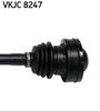 VKJC 8247_3.JPG
