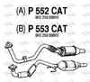 P552CAT.JPG