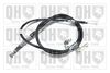 QH_BC3459.JPG