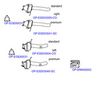 OP-EXSVG710_20260529081605.JPG