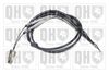QH_BC4007.JPG