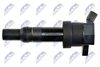 ECZ-KA-306_3-WM.JPG