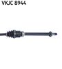 VKJC 8944_3.JPG