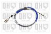 QH_BC4611.JPG