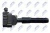 ECZ-ME-012_3-WM.JPG