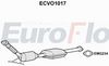 ecvo1017.JPG