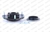 MK401R_2998251.JPG