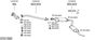 SYS11689.JPG