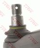 0161JTR0209_1.JPG