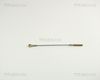 814027117.JPG